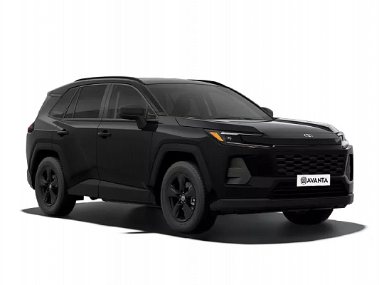 Toyota RAV4 NEW Luxury 2.0 CVT 171 л.с. Black