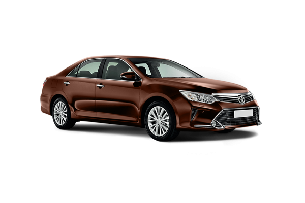 Toyota Camry 2018 Серо-коричневый металлик (4x7)